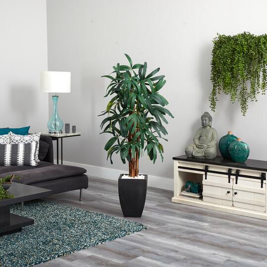 5.5ft. Potted Raphis Palm Tree in Black Decorative Planter